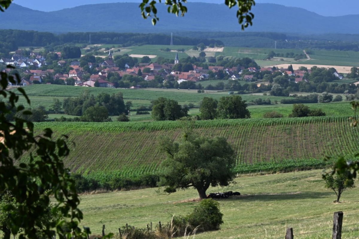 Lithium de France Image Slider